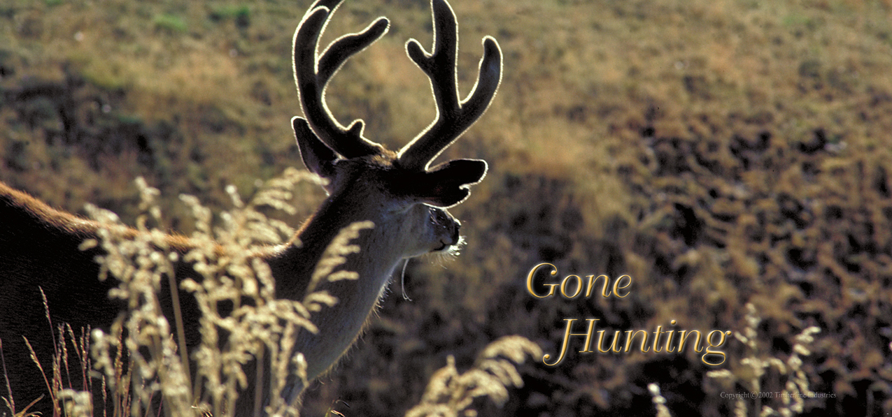 012 Gone Hunting (Deer)